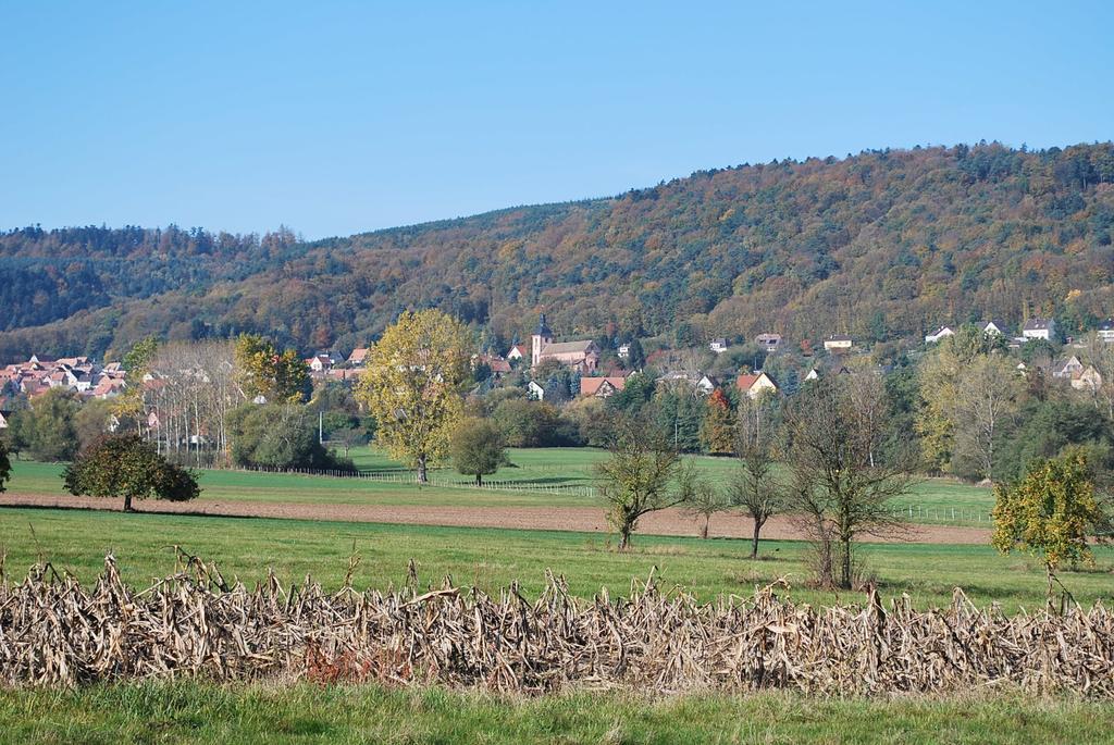 Chambres D'Hotes Les Vignes Saint-Jean-Saverne Exterior foto