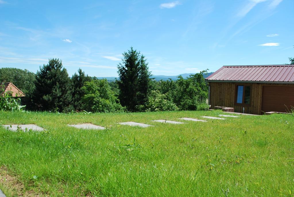 Chambres D'Hotes Les Vignes Saint-Jean-Saverne Exterior foto