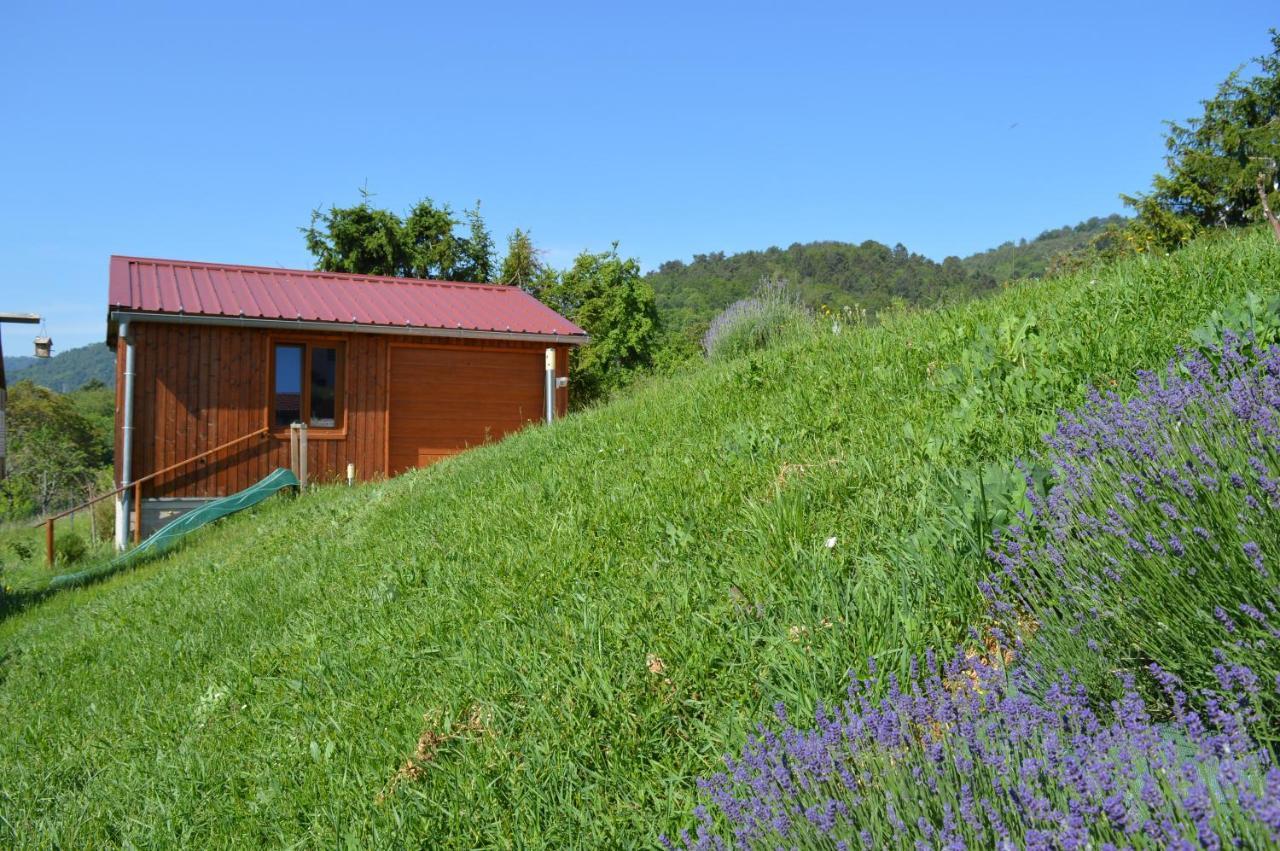 Chambres D'Hotes Les Vignes Saint-Jean-Saverne Exterior foto