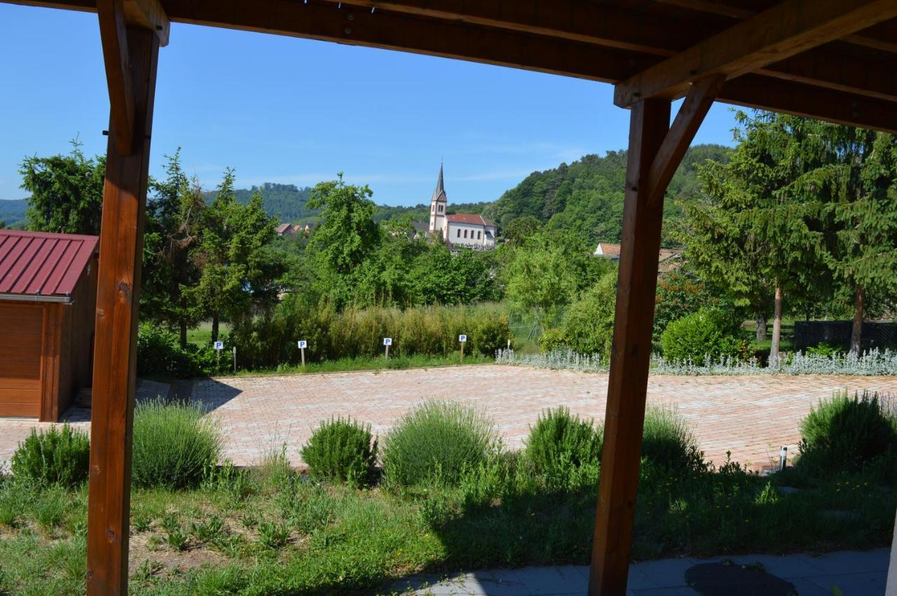 Chambres D'Hotes Les Vignes Saint-Jean-Saverne Exterior foto