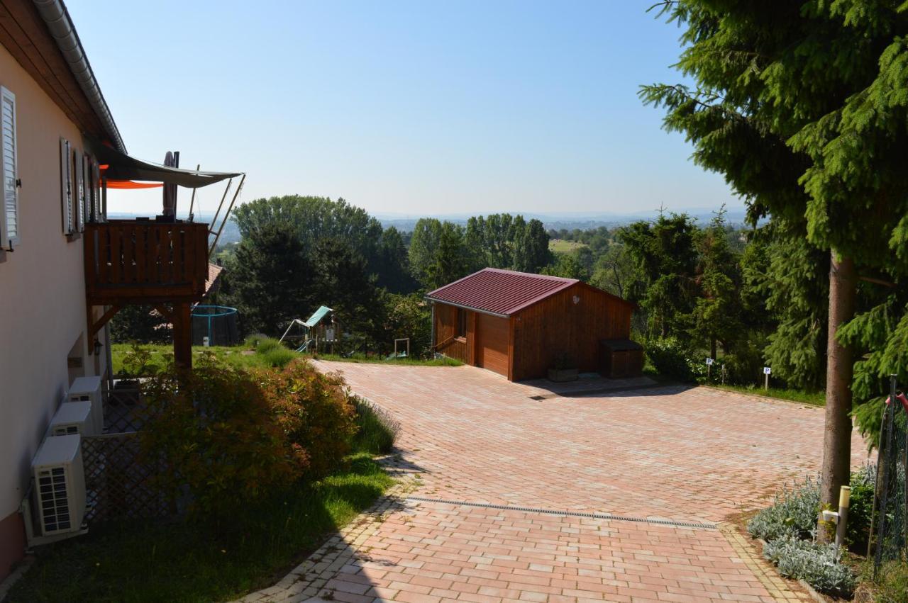Chambres D'Hotes Les Vignes Saint-Jean-Saverne Exterior foto